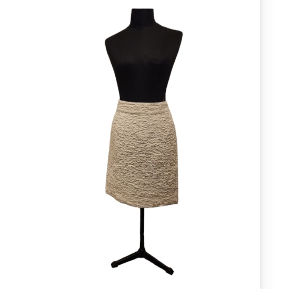 Metalic Gold Skirt with Zipper Enclosure